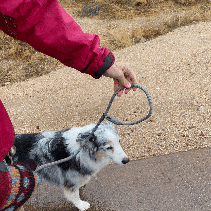 What are Slip Leads Cook s Illustrated